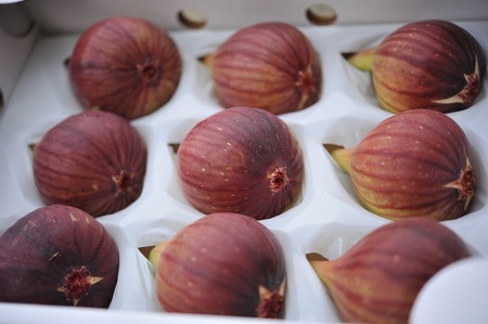 【期間限定】もぎたて朝どり完熟いちじく　秀品 約1kg（9～12玉）／愛知県産　サマーレッド　いちじく　イチジク　無花果　果物　フルーツ　