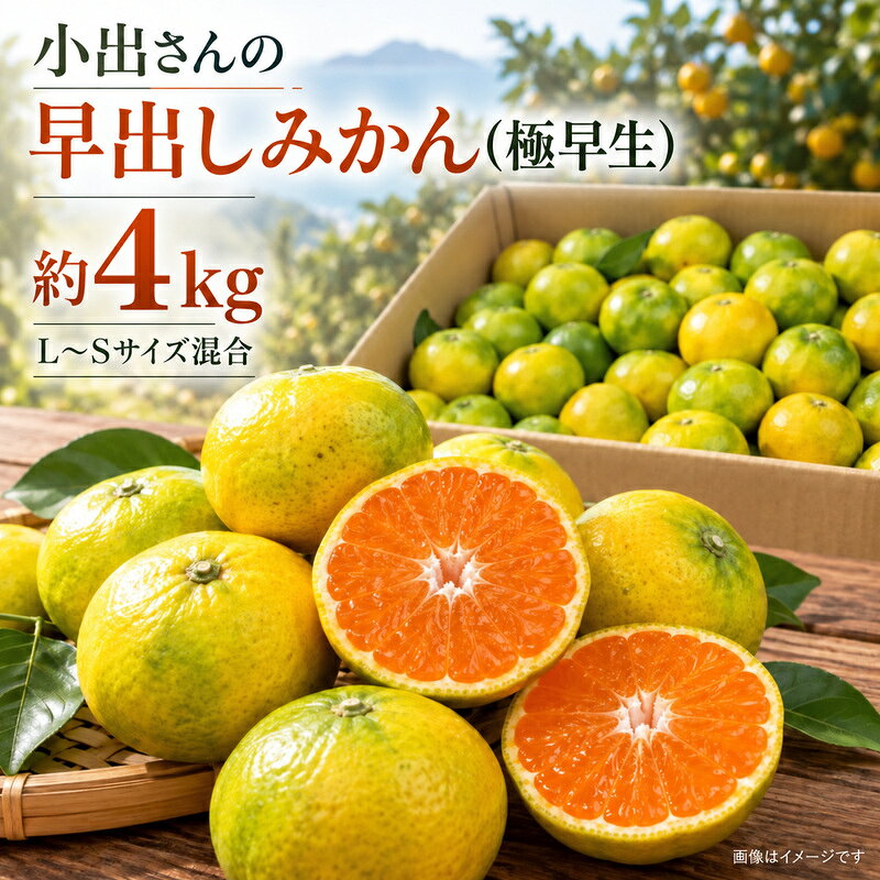 【ふるさと納税】みかん 極早生 早出し 香川県産 国産 約4kg L〜Sサイズ混合 小出さん 有機質肥料 農薬を控えて栽培 ノーワックス 濃厚 旨味 柑橘 ミカン 蜜柑 フルーツ 果物 くだもの 果物類 デザート おやつ 大野原町 五色青果 香川県 観音寺市