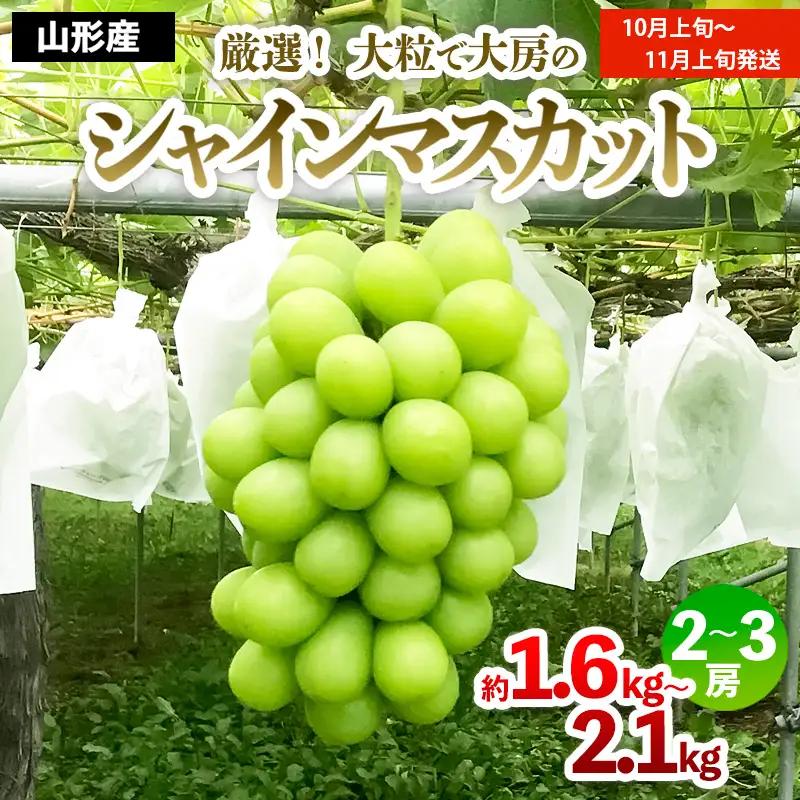 厳選！大粒で大房のシャインマスカット 秀品 2～3房入り（約1.6kg～2.1kg）[後半]【令和8年産先行予約】FS24-667 くだもの 果物 フルーツ 山形 山形県 山形市 2026年産