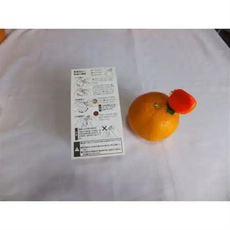 オレンジシュッター_雑貨   _【1385441】