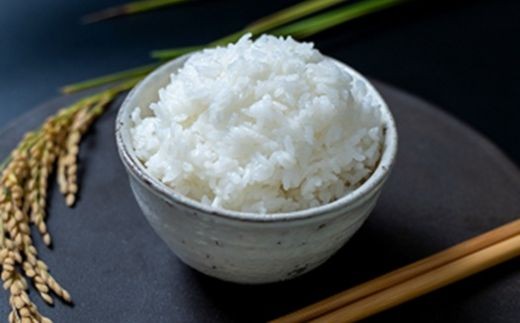 環境こだわり米　きらみずき　5kg【Q004W】