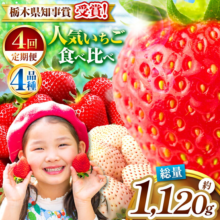【ふるさと納税】【4カ月連続】栃木のいちご4品種 食べ比べ定期便＜2025年12月から2026年3月までの期間で収穫・順次発送予定＞｜とちあいか とちおとめ ミルキーベリー スカイベリー いちご 苺 フルーツ 果物 アソート 産地直送 栃木県 矢板市