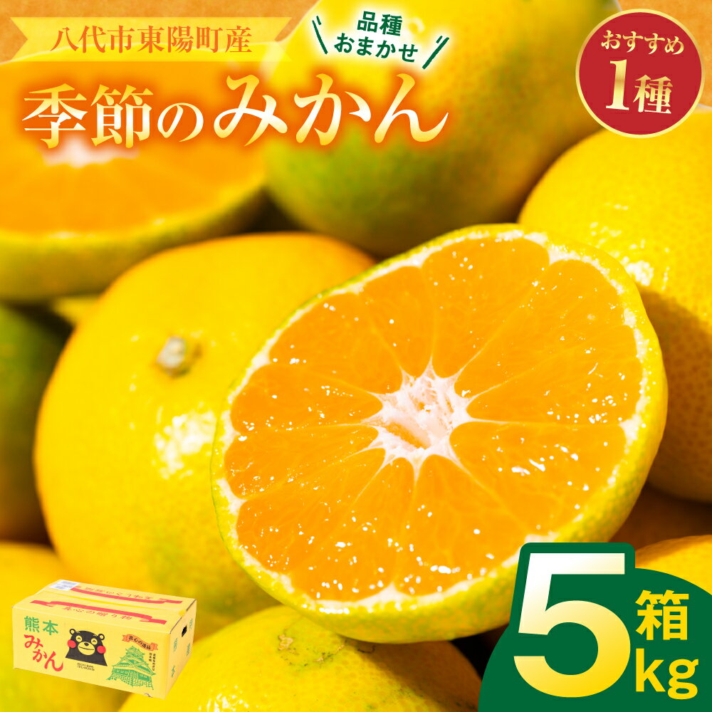 【ふるさと納税】【先行予約】 数量限定 八代市東陽町産の季節のみかん5kg みかん 柑橘 フルーツ 果物 果実 ミカン 蜜柑 熊本県 八代市 送料無料 【2026年9月下旬より順次発送】