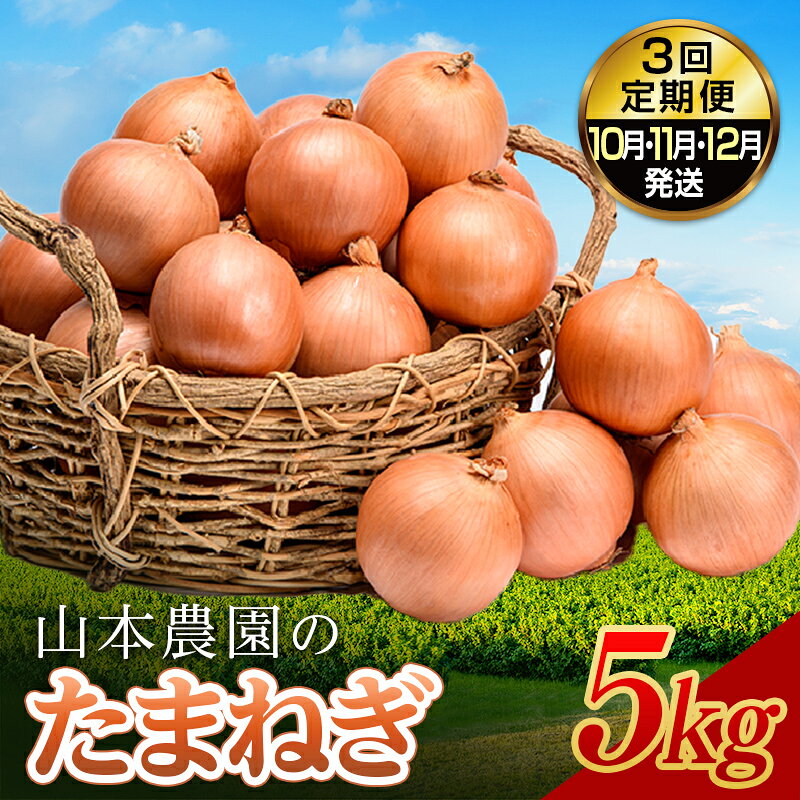 【ふるさと納税】北海道産 山本農園のたまねぎ 5kg 3回定期便（10月・11月・12月発送） L大サイズ中心 農薬4割減 北海道南幌町産 2026年10月上旬発送開始 NP1-349