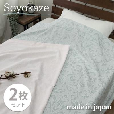 ふるさと納税 和泉市 【シングル2枚組】『軽やか』で洗濯しやすい綿100%タオルケット 140×190cm 5164-2P