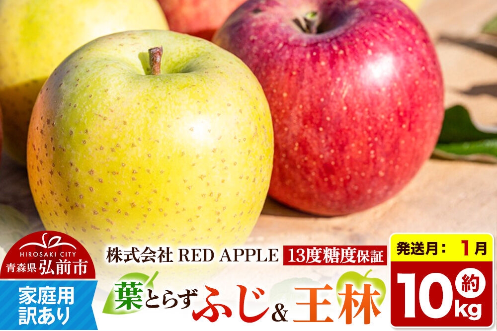 
                  【27年1月上旬～発送】りんご 13度糖度保証【訳あり】家庭用 葉とらずふじ＆王林 約10kg 先行受付 [アップル おいしい ふじ りんご 王林 黄色 果実 果物 赤色 糖度 美味 葉っぱ 葉とらず 林檎]
                