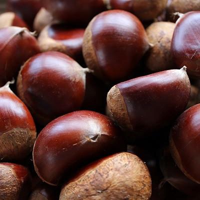 ふるさと納税 京丹波町 和知栗の渋皮煮 200g びん詰め |  | 02