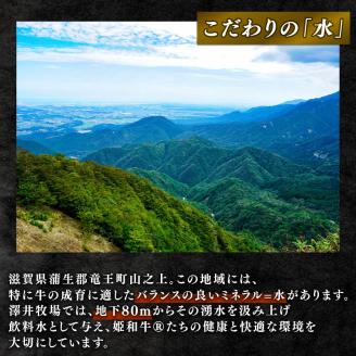 近江牛 焼き肉用 切り落とし 約350g ( ロース 肩ロース バラ モモ ウデ 黒毛和牛 牛肉 肉 ギフト 焼肉 自宅用 高級 黒毛和牛 国産 ふるさと納税 ブランド牛 三大和牛 和牛 冷凍