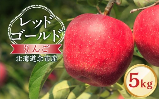 
                  【先行予約：2026年10月中旬より発送】りんご（レッドゴールド）5kg【北海道余市町産】
                