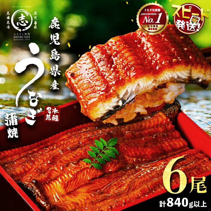 【ふるさと納税】【10営業日以内に発送】うなぎ 養殖日本一！鹿児島県産うなぎ 蒲焼 名水慈鰻 6尾＜計840g以上＞うなぎ 鰻 ウナギ 国産 6尾 蒲焼き かばやき 冷凍 うな重 人気 【鹿児島鰻】