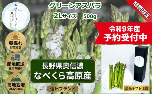 【令和9年産先行予約】アスパラガス みゆきアスペルジュ 2Lサイズ 500g入り(8〜9本)《出荷時期：2027年5月中旬頃〜》株式会社ForestDoor｜長野県 飯山市 信州 新鮮 直送 独自栽培