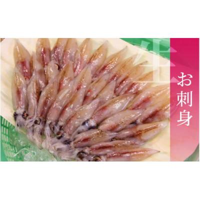 ふるさと納税 滑川市 生ホタルイカ(急速冷凍) |  | 02