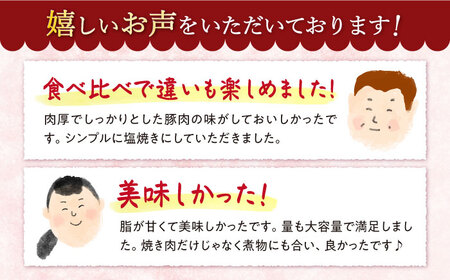 【訳あり】【食べ比べ♪】大西海SPF豚 背ロース＆バラ（焼肉用）計1.3kg（各650g）＜大西海ファーム＞[CCY007]