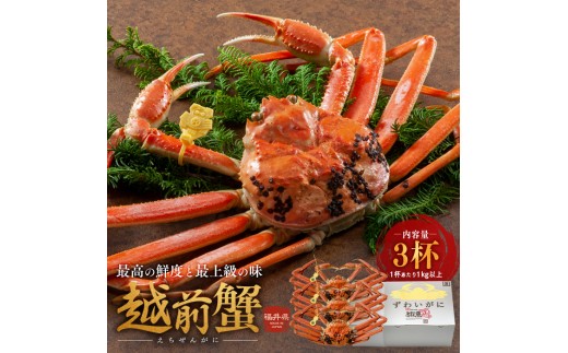 
            期間限定 茹で 越前ガニ 1kg以上 3杯 食通もうなる本場の味をぜひ、ご堪能ください 越前かに 蟹 カニ かに ボイルカニ ボイル蟹 ポーション ズワイガニ 海鮮 限定 福井 福井県 若狭町 [№5580-0422]
          
