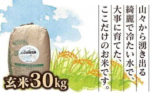 C096 しのめ清流米　玄米30㎏