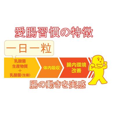 ふるさと納税 焼津市 腸活 サプリ 愛腸習慣(3袋)酵素 乳酸菌 米ぬか (a15-523) |  | 01
