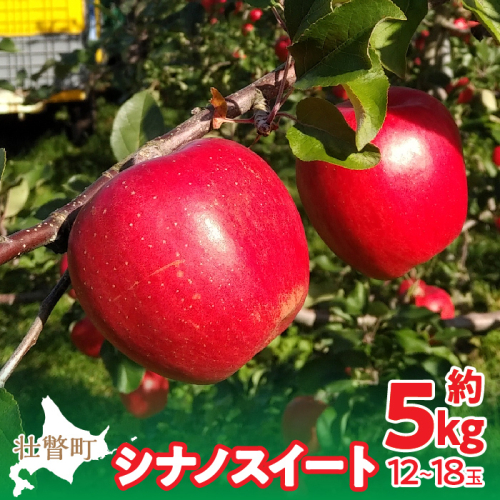 【先行予約】北海道壮瞥町産りんご「シナノスイート」約5kg(12～18玉)<2026年10月下旬よりお届け> SBTF012