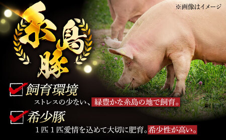 【全12回定期便】合計4.6kg！糸島豚食べ尽くしセット(とんかつ、肩ロース、しゃぶしゃぶ、豚バラ、スペアリブ、小間切れ) 糸島市 / トラヤミートセンター 豚肉 セット[AJD024]