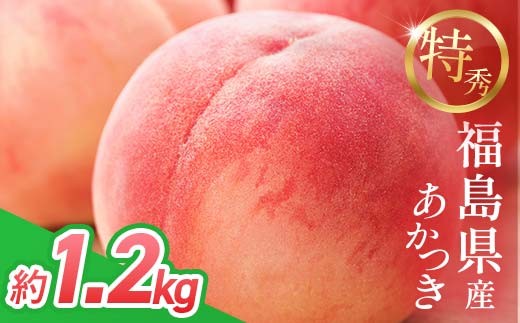 
                  2026年先行予約 <冷蔵配送> 糖度12度以上 特秀 福島県産 桃 あかつき 約1.2kg 透過式光センサー選別 数量限定 期間限定 白桃 もも モモ 果物 くだもの フルーツ F21C-465
                