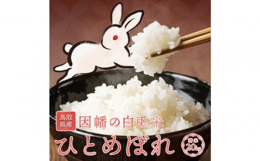 【令和7年度産】因幡の白兎米 ひとめぼれ 精米済 20kg ( 5kg×4袋 )