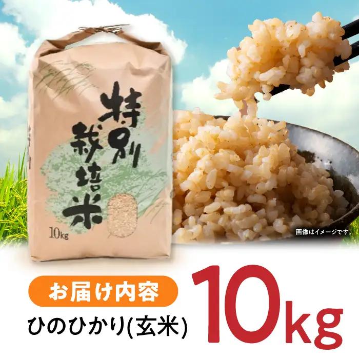 【R7年産】ひのひかり 玄米 10kg 玄米 AHAS004