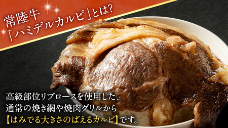 【 常陸牛 】A5 等級 ハミデルカルビ 1kg (6～10枚) (茨城県共通返礼品)
