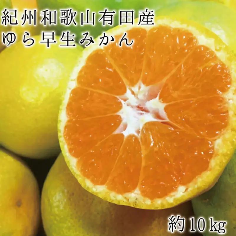【先行予約】紀州和歌山有田産ゆら早生みかん10kg　※2026年10月中旬頃〜11月上旬頃に順次発送（お届け日指定不可）【uot734A】