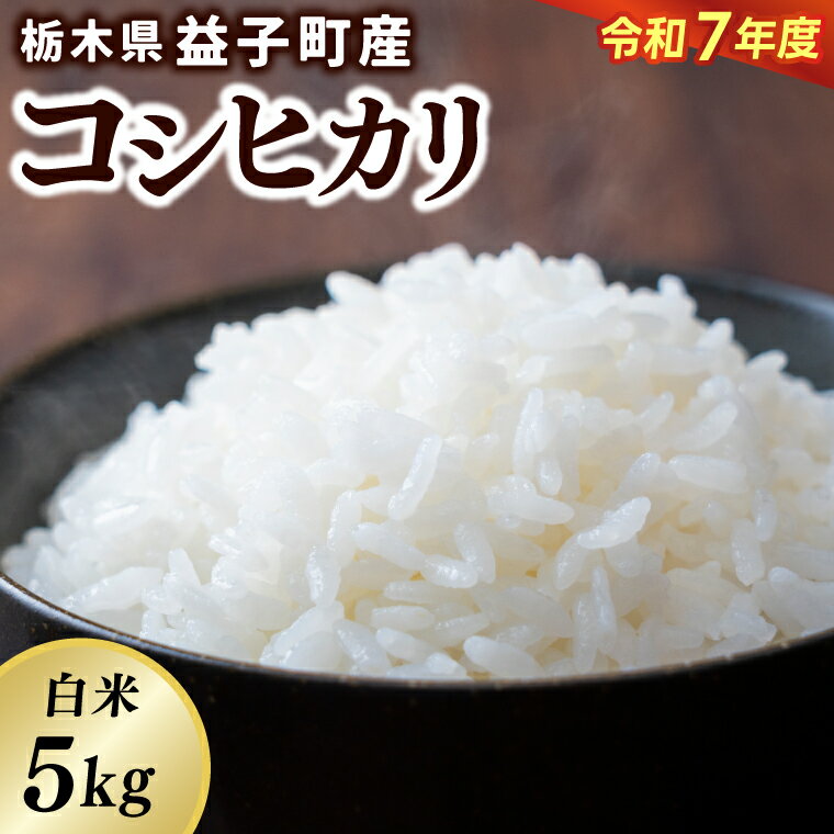 【ふるさと納税】＼新米 令和7年産／ 米 5kg 精米 白米 「コシヒカリ」【数量限定】あい farm やなぎのお米 令和7年産 こしひかり お米 白米 米 5キロ コメ ご飯 ごはん 栃木県 益子町 ふるさと納税 (DQ007)