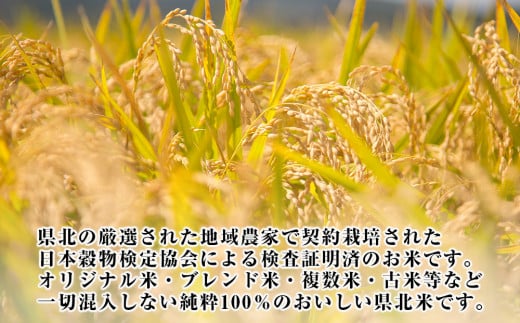 令和6年産 宮城県産 つや姫 精米 10kg 石巻産 つや姫 精米 つ