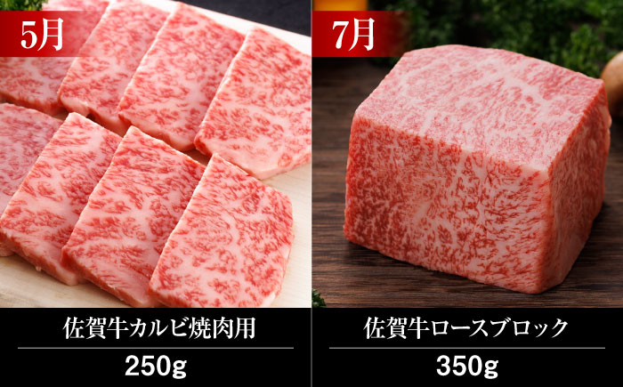 【全12回】 A5ランク 佐賀牛 霜降り 食べ比べ 定期便 約2人前 総計4kg 20万 /焼肉どすこい [UCC002] 最高級 牛肉 肉 ステーキ スライス ローストビーフ ハンバーグ