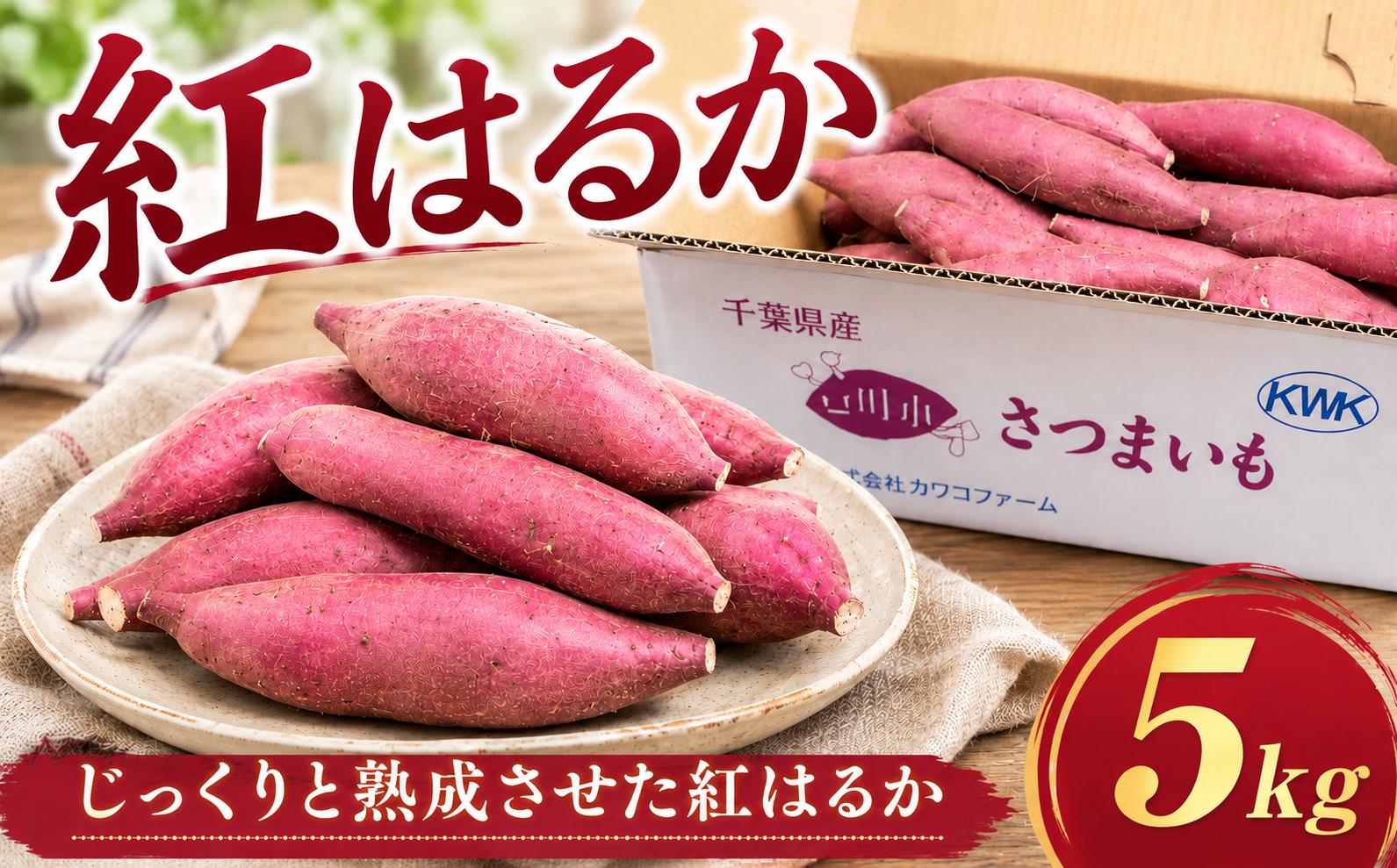 
                  訳あり 紅はるか 約 5kg さつまいも 【先行予約】 訳アリ 訳有 サツマイモ 薩摩芋 さつま芋 べにはるか ベニハルカ スイーツ 甘芋 スイートポテト sweet potato 不揃い 生芋 芋 イモ 旬 野菜 糖度 熟成 秋野菜 秋の味覚 株式会社カワコファーム 千葉県 香取市 KWK001
                