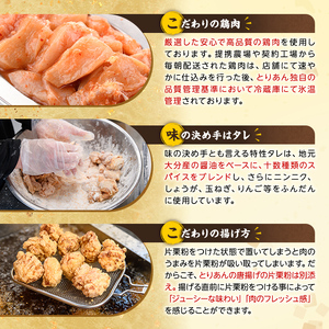 ＜定期便・全6回(連続)＞＜からあげグランプリ最高金賞＞宇佐 とりあんのからあげ・大分名物鶏天セット(総量6kg・合計1kg×6回)から揚げ からあげ 鶏天 とり天 簡単 冷凍 惣菜 お弁当 おかず 