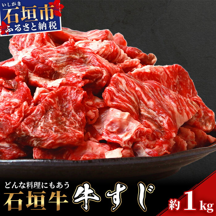 【ふるさと納税】石垣牛・牛スジ1kg入り真空パック（又はトレイ）・カレー、おでんに大活躍！ 沖縄県石垣市 送料無料 SI-014