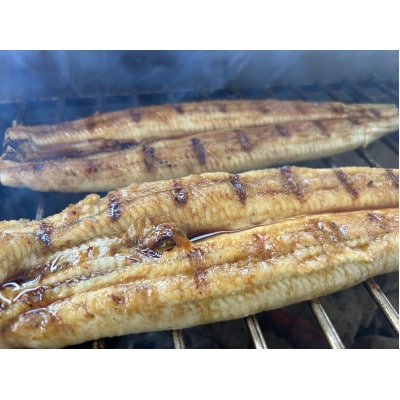 【国産うなぎ】大サイズ140g -170g　三河一色産　3尾　炭火蒲焼き(タレ付き)【配送不可地域：離島】【1659356】