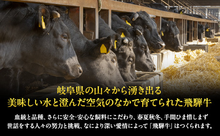 【定期便3ヶ月】牛肉 飛騨牛 サーロイン ステーキ セット 1kg（1枚 約250g×4枚 ） 黒毛和牛 A5 美味しい お肉 牛 肉 和牛 サーロインステーキ 【岐阜県瑞穂市】