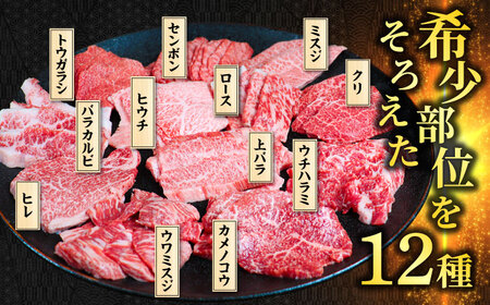 飛騨牛贅沢食べ比べ12種 飛騨牛 焼肉[ANBO028]