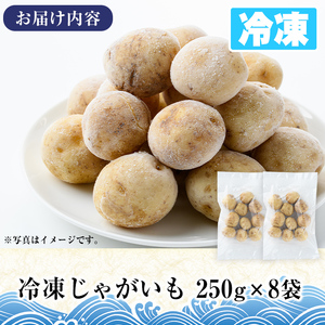 冷凍じゃがいも (計2kg・250g×8袋) ジャガイモ ニシユタカ にしゆたか 冷凍 ボイル 小分け 小玉 小さめ フライ アヒージョ スープ カレー シチュー 簡単調理 お弁当 おかず 野菜 赤土