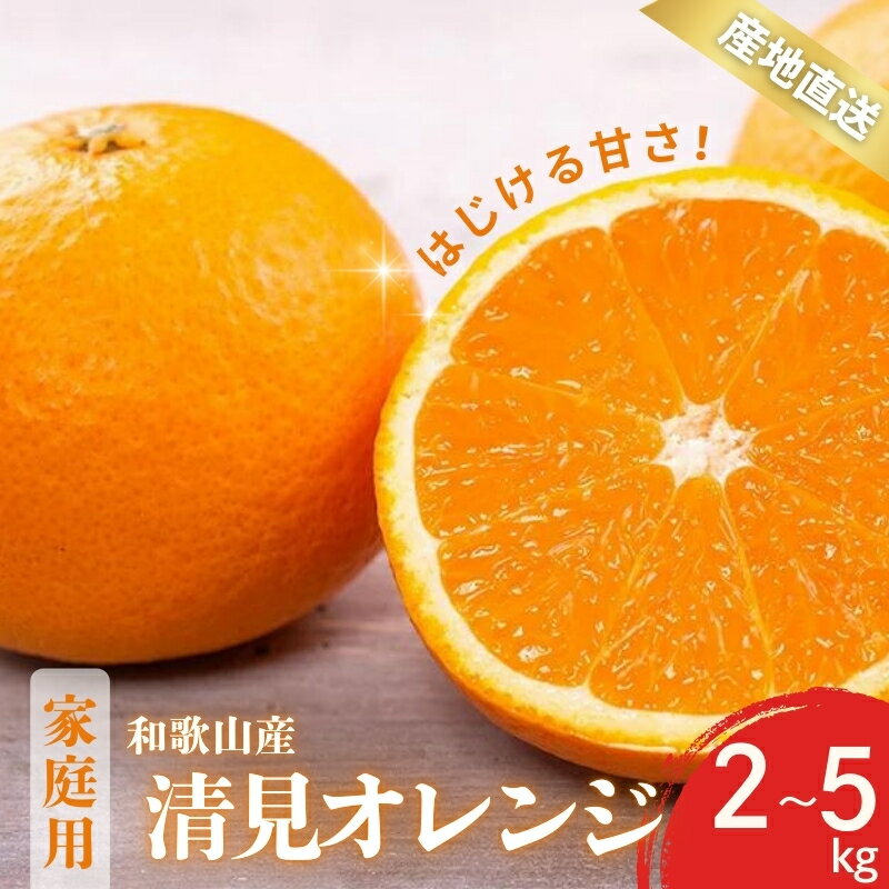 【ふるさと納税】 【先行予約】訳あり 家庭用 きよみ 清見オレンジ 和歌山 有田 S〜2Lサイズ 大きさお任せ 2kg / 3kg / 5kg 【2月中旬〜3月下旬頃に順次発送】/ みかん フルーツ 果物 くだもの 蜜柑 柑橘