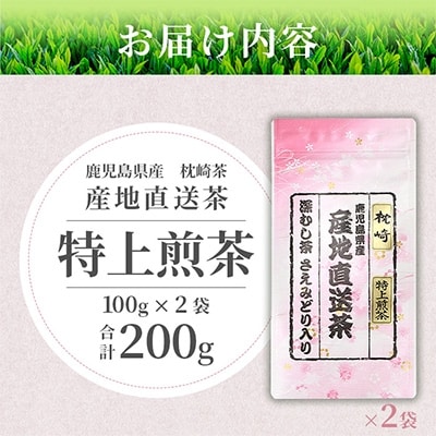 一番茶のみ使用!!【 特上煎茶 】  ( 100g×2本 )  枕崎産 大河内製茶 A3-218【1167083】