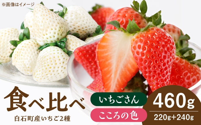 
            【R8年1月以降発送】こころの色＋いちごさん 1箱 【StrawberryFarm-K】 [IBJ022]
          