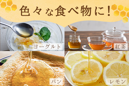 鹿島市産 天然の恵み 100% はちみつ 600g 化粧箱入 B-806 ハチミツ 蜂蜜 ハニー 天然はちみつ 天然蜂蜜 国産