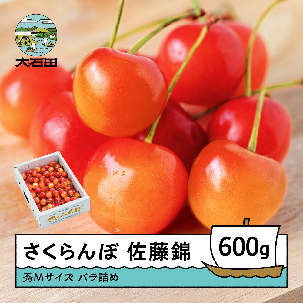 【ふるさと納税】【先行予約】 さくらんぼ 佐藤錦 秀Mサイズ バラ詰め 600g (600g×1箱) 2027年産 令和9年産 山形県産 ns-snsmb600
