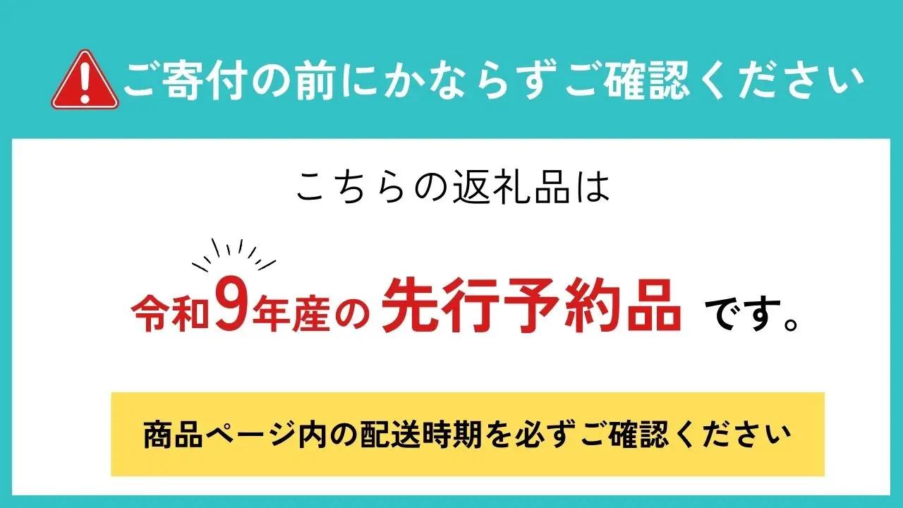 山菜セット4品 (約400g～500g) / 山菜 旬 [Q2987]