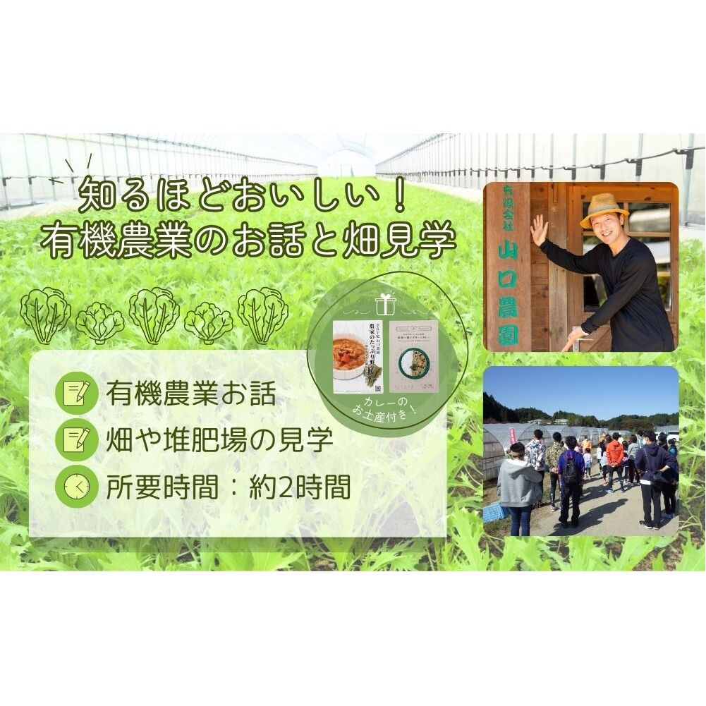 有機農業 圃場見学 ツアー お土産付 5名様迄／ 農業 農家 有機野菜 オーガニック 無農薬 SDGs 関西 体験 チケット カレー 山口農園 奈良県 宇陀市 ふるさと納税_イメージ2
