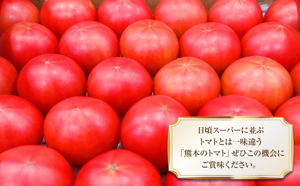 太陽の恵みを閉じ込めた真っ赤な大玉トマト2kg（熊本県産）