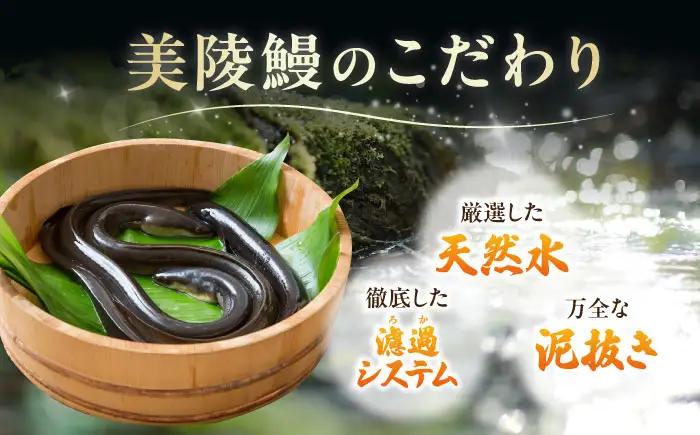 鰻 鰻の蒲焼1尾×白焼1尾 紅白セット BLAM005