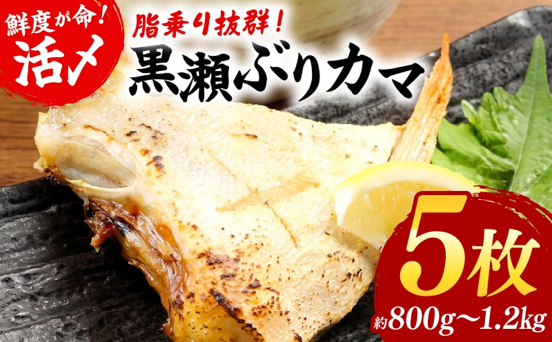 
                  【選べる発送月】活じめ！黒瀬ぶりカマ（5枚入）（800g～1.2kg前後） ぶり カマ ぶりかま 国産 おすすめ 海鮮 特産品 お取り寄せ グルメ ギフト 塩焼き 煮付け 黒瀬ぶり 家庭用 おかず 魚_K001-003-SKU
                