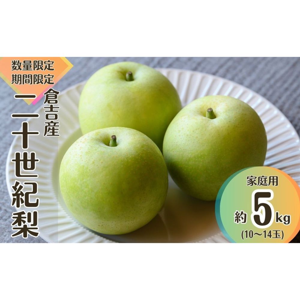 【ふるさと納税】【先行予約】【令和8年産】家庭用 二十世紀梨 5kg（10～16玉） 数量限定 鳥取 梨 果物 フルーツ 和梨 先行予約 数量限定 詰め合わせ 二十世紀梨 20世紀梨