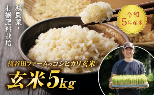 
令和5年産 減農薬・有機肥料栽培コシヒカリ 玄米 5kg 米 お米 おこめ ご飯 ごはん 福島県 西会津町 F4D-0294
