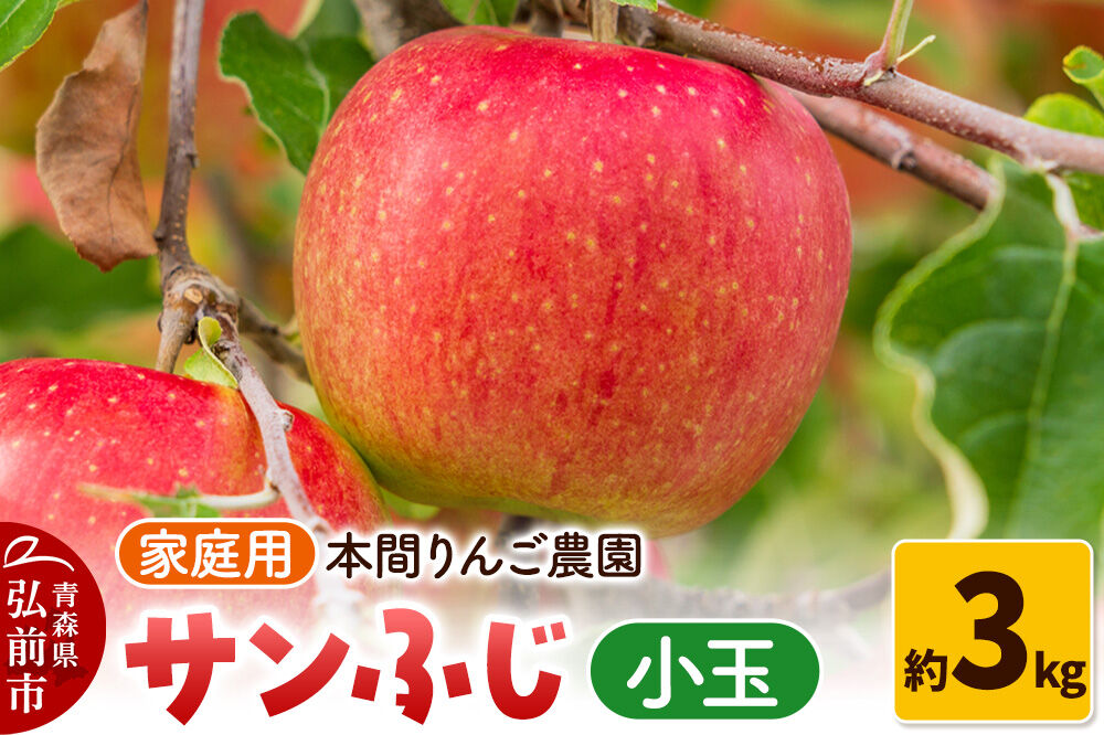 【26年12月発送】サンふじ【家庭用】約3kg 小玉 先行受付 青森県 弘前市 果物 フルーツ 林檎 リンゴ くだもの 不揃い 規格外 [先行予約 産地直送 アップル おいしい 果実 美味 甘い 赤色]